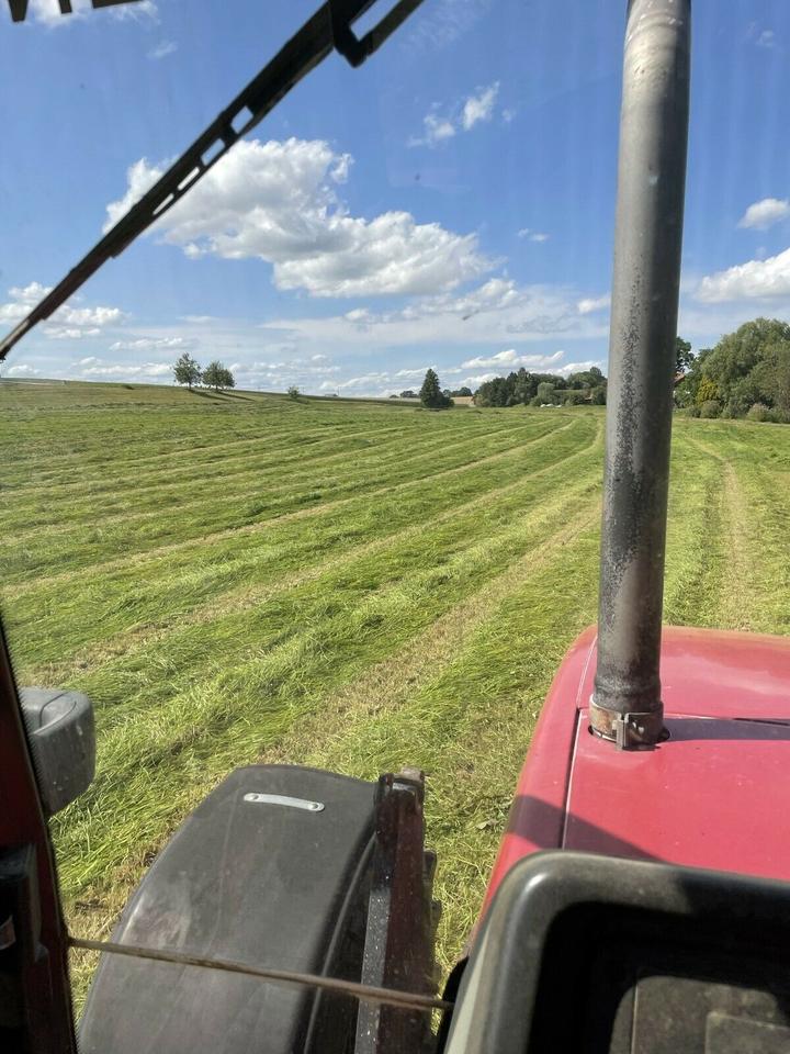 Suche Ackerland/Grünland oder Hof zur langfristigen Pacht – Bild 4