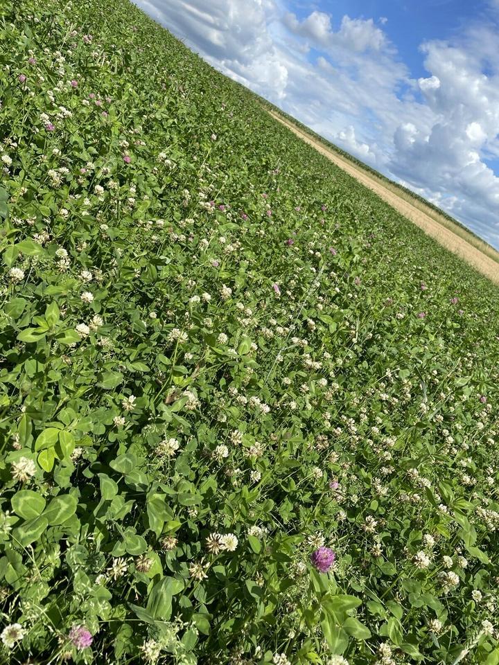 Suche Ackerland/Grünland oder Hof zur langfristigen Pacht – Bild 5