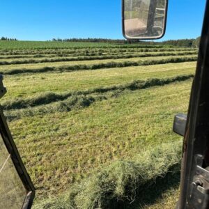 Suche Gras für Grassilage